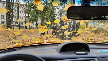 Фото Владимира Малышева