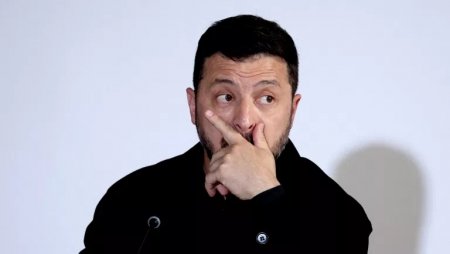 Сербские интеллектуалы собрали подписи против визита Зеленского в страну